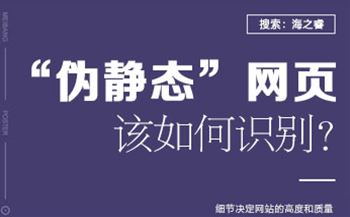 網(wǎng)站建設(shè)之您的網(wǎng)站還是“偽靜態(tài)”嘛？
