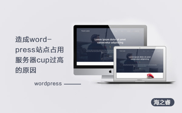 造成wordpress站點占用服務(wù)器cup過高的原因